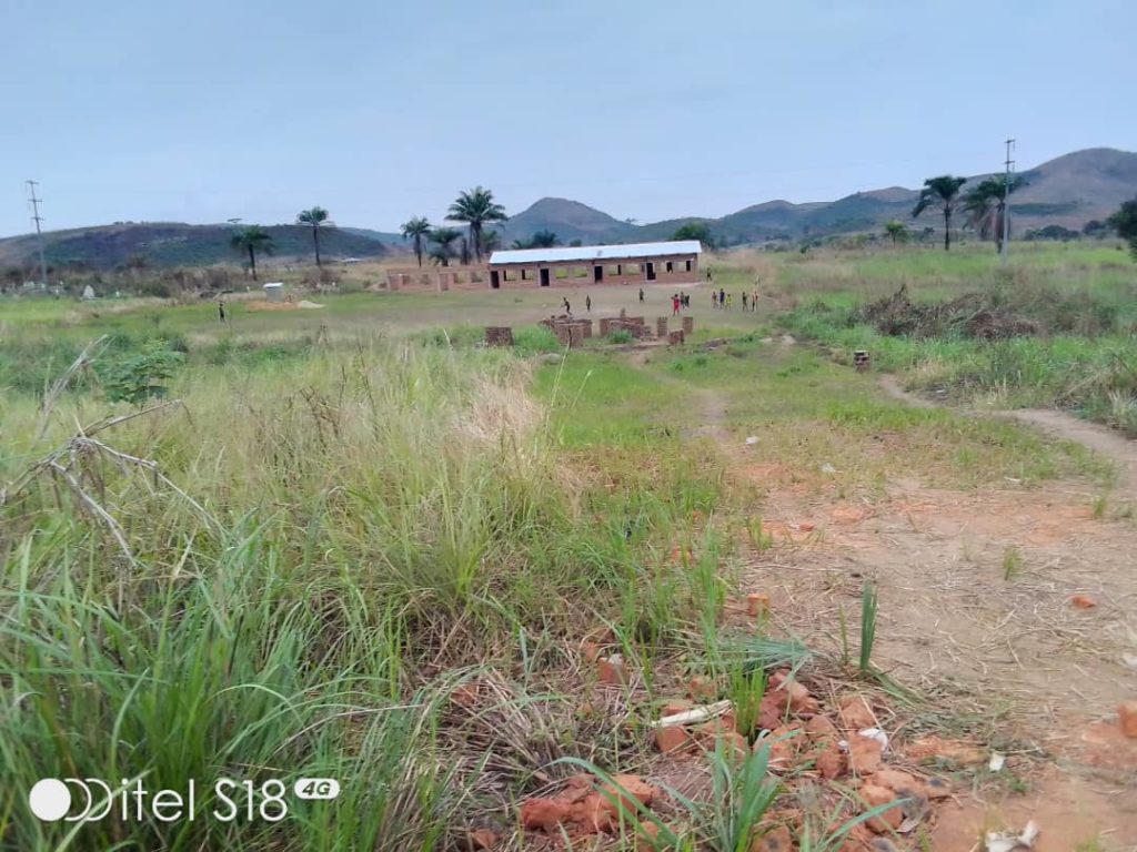 Schulbau - Dächer für vier Räume